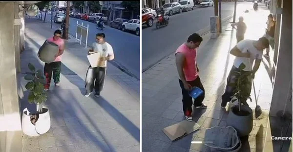 Camaras de seguridad