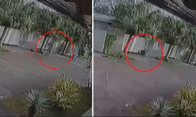 captura de video