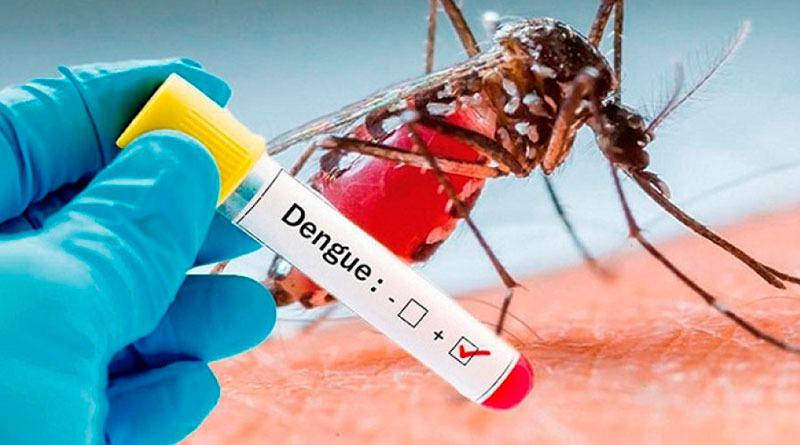 Dengue