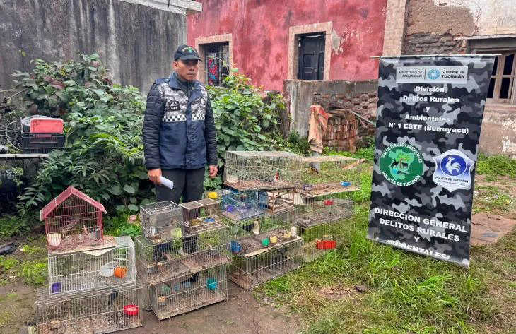 Aves rescatadas