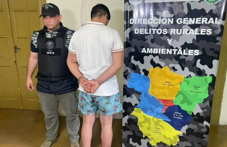 Detenido